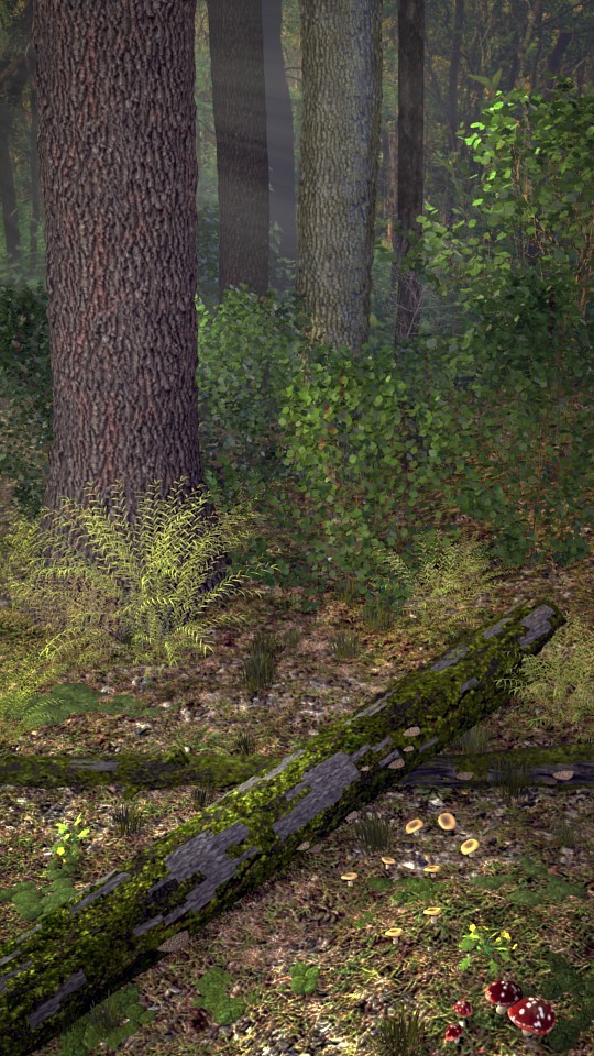 Forest Floor preview image 1
